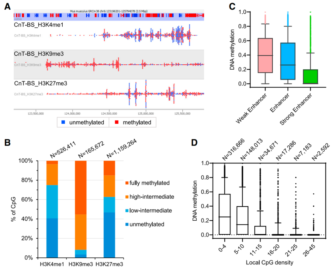 CUT&Tag技术扩展：同时检测组蛋白修饰和DNA甲基化