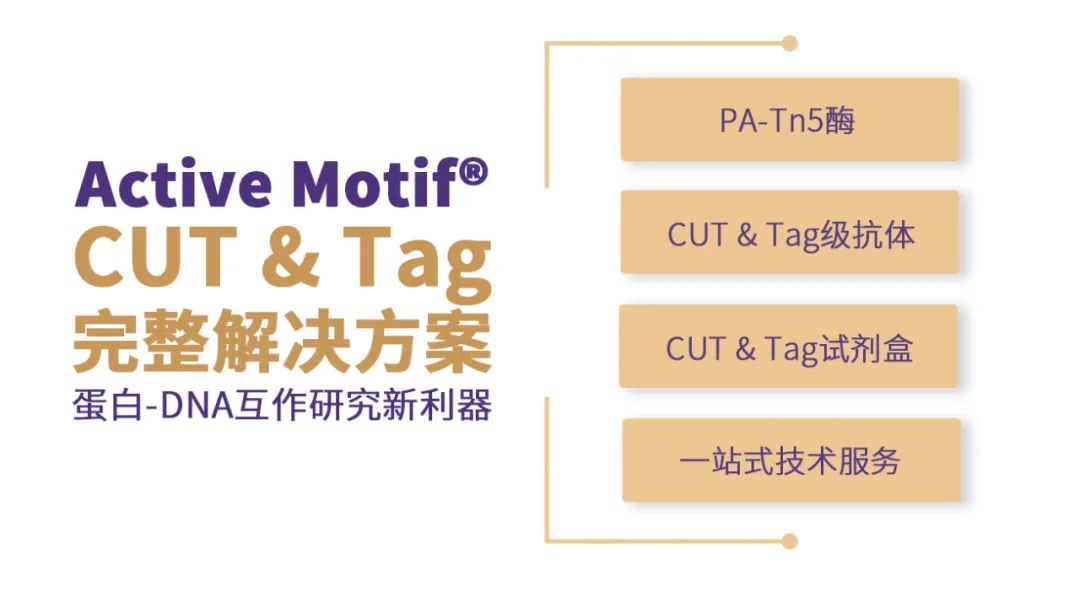 CUT&Tag技术扩展：同时检测组蛋白修饰和DNA甲基化