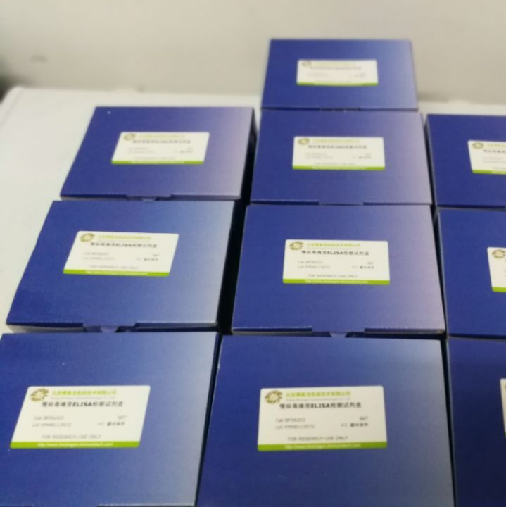 Biodragon博奥龙BF06203慢病毒滴度HIV P24 ELISA试剂盒13611631389上海睿安生物