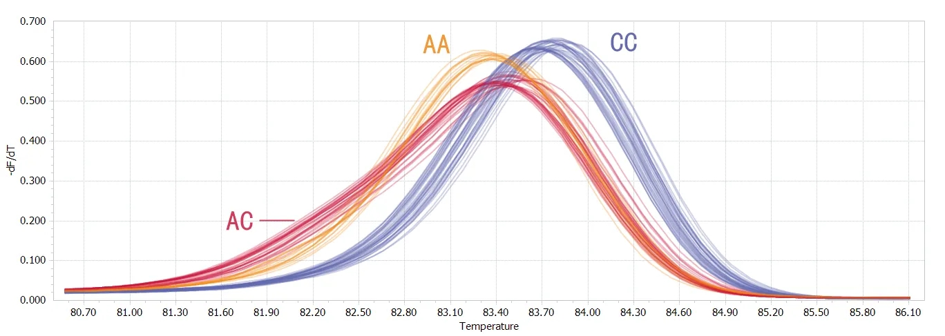 SNP基因多态性检测实验服务