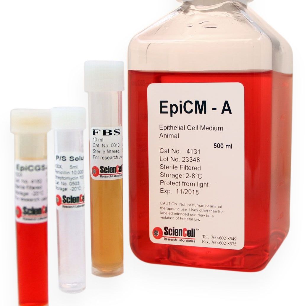 Sciencell 4131 上皮细胞培养基-动物 EpiCM-a 现货特价