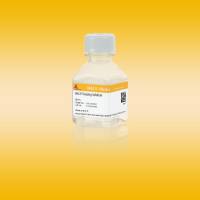 MACS冻存液