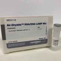可风干RT-LAMP,4X MDX118