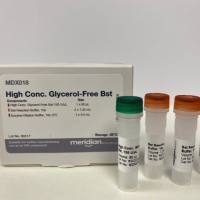 高浓度可冻干Bst DNA 聚合酶 (100 U/uL) MDX018