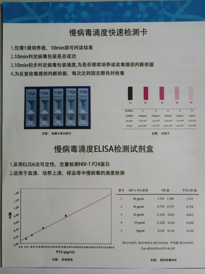 Biodragon博奥龙BF06203慢病毒滴度HIV P2
