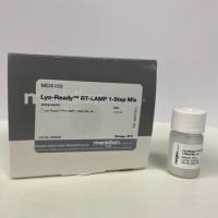 可冻干RT-LAMP一步法预混液, MDX108, 4X