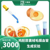 鸡胚尿囊绒毛膜血管生成实验