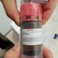 Sigma货号T5648他莫昔芬tamoxifen上海睿安生物13611631389