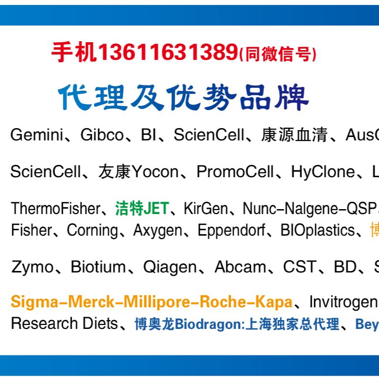 Riboflavin核黄素Sigma货号R9504-100g现货13611631389上海睿安生物