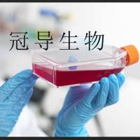 察氏肉汤培养基发货更快