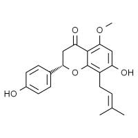 异黄腐醇 HPLC≥98%