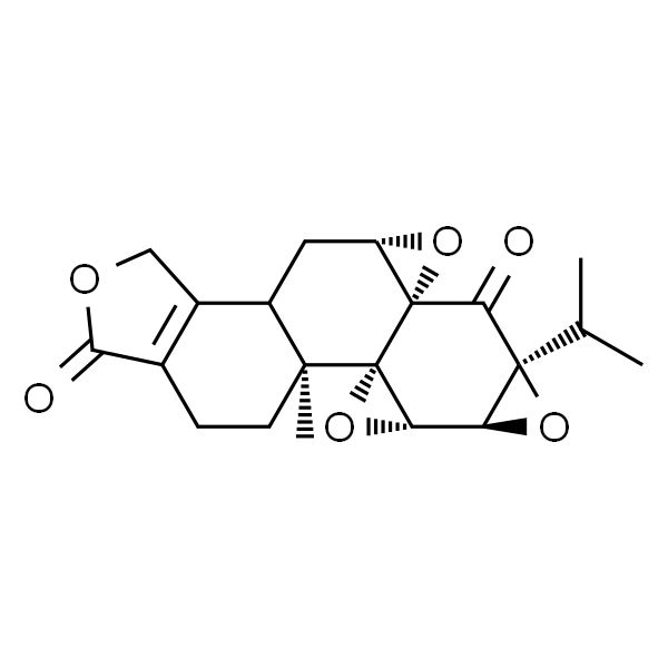 雷公藤内酯酮,分析标准品,HPLC≥98%