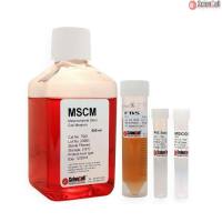 Sciencell 7501 间充质干细胞培养基 MSCM 现货特价