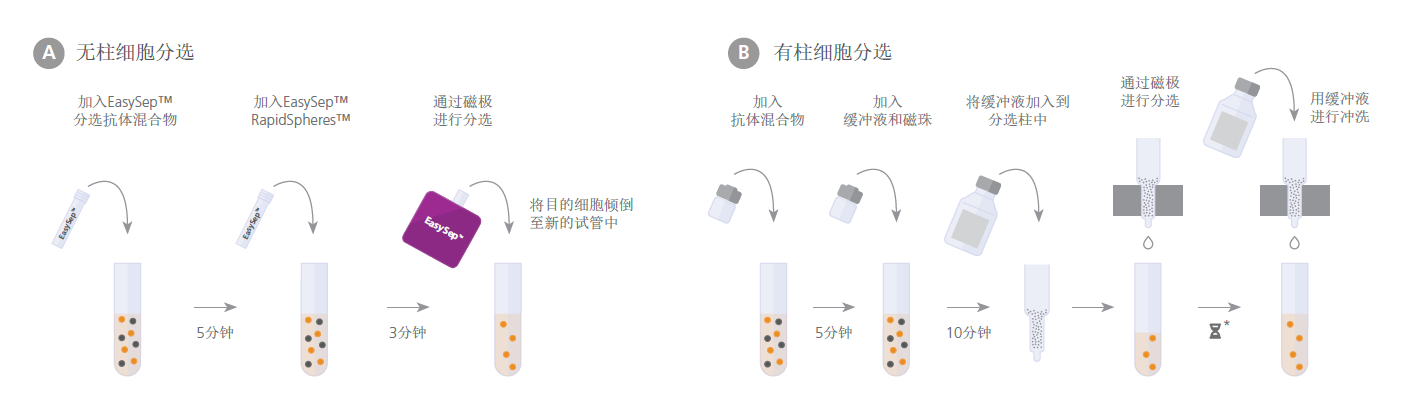 创新无柱式免疫细胞分选技术