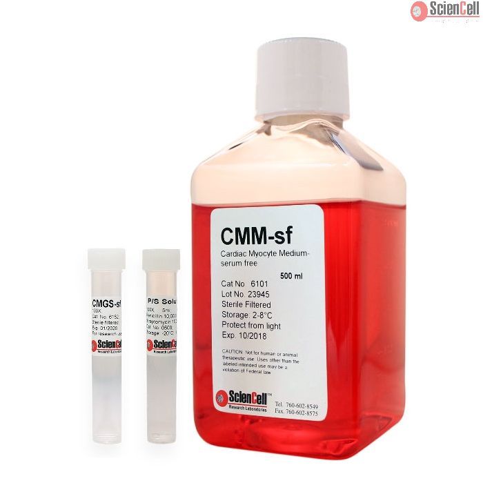 Sciencell 6101 心肌细胞培养基-无血清 CMM-sf 现货特价