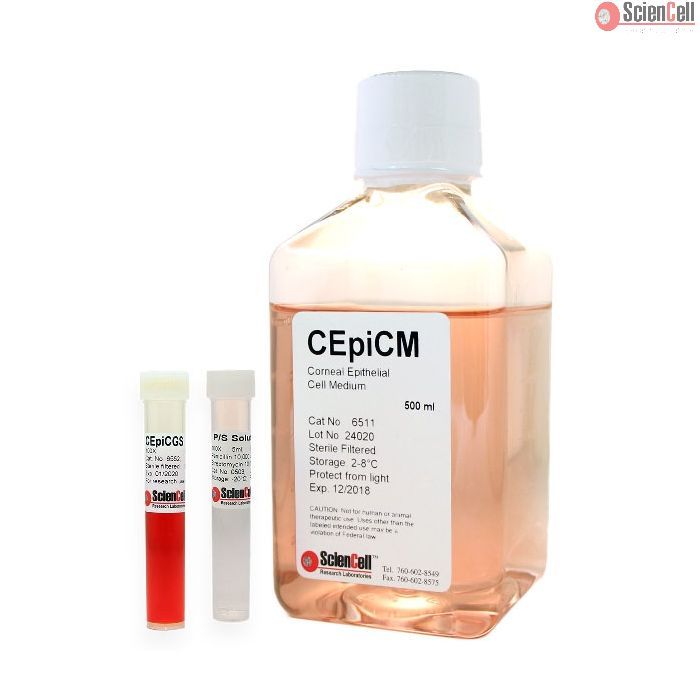 Sciencell 6511 角膜上皮细胞培养基-serum free CEpiCM 现货特价