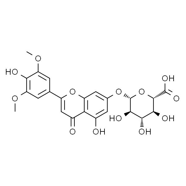 白杨素-7-0-Β-D-葡萄糖醛酸苷 HPLC≥98%