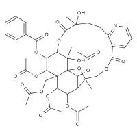 雷公藤定碱,分析标准品,HPLC≥98%