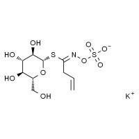 黑介子苷,分析标准品,HPLC≥98%