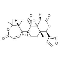 黄柏酮,分析标准品,HPLC≥98%