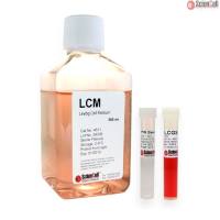 Sciencell 4511 睾丸间质细胞培养基 现货特价