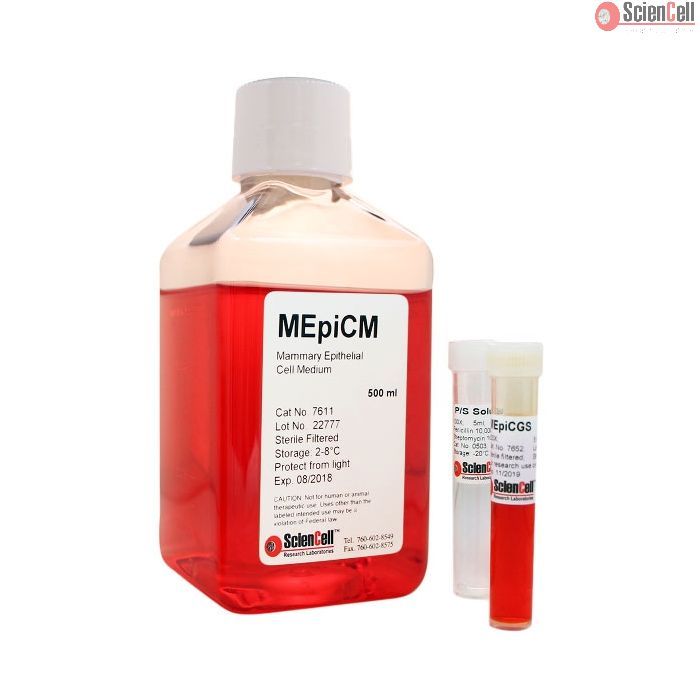 Sciencell 7611 乳腺上皮细胞培养基-serum free  MEpiCM 现货特价