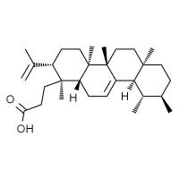 栎樱酸,分析标准品,HPLC≥97.5%