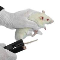 大鼠关节疼痛测量仪，小鼠关节疼痛测量仪，动物关节疼痛测量仪