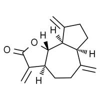 去氢木香内酯,分析标准品,HPLC≥98%