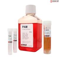 Sciencell 7221 脂肪细胞诱导分化培养基 PADM 现货特价