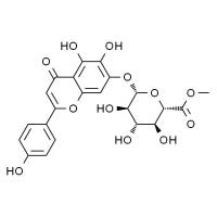 灯盏花乙素甲酯 HPLC≥98%