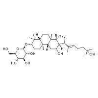 拟人参皂苷Rh2 HPLC≥98%