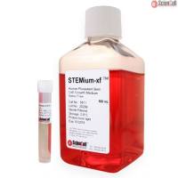 Sciencell 5811 无异种人胚胎干细胞生长培养基 现货特价