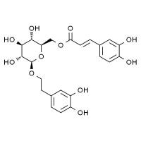 木通苯乙醇苷B,分析标准品,HPLC≥98%