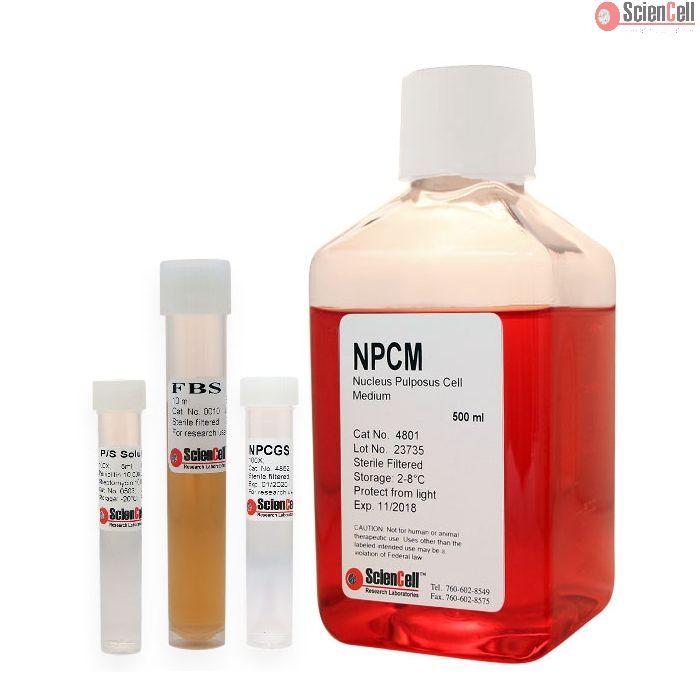 Sciencell 4801 髓核细胞培养基 NPCM 现货特价