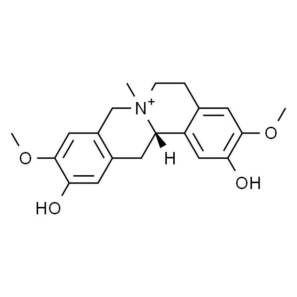 黄柏碱,分析标准品,HPLC≥98%