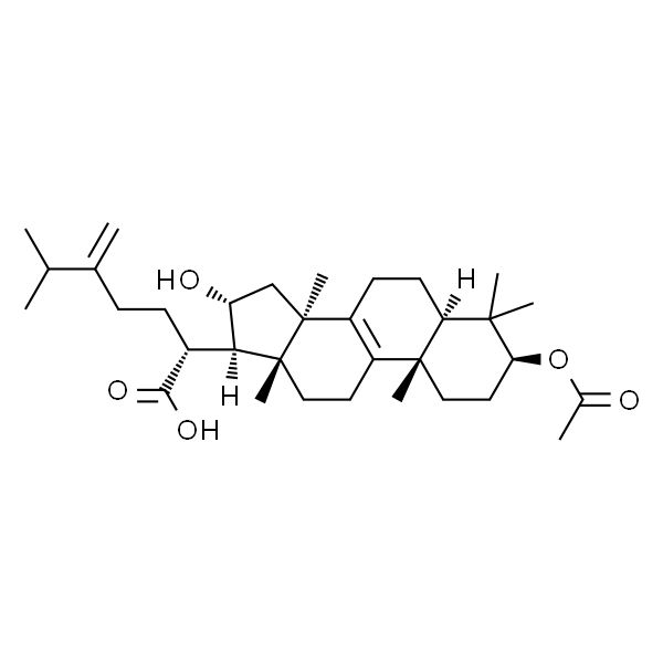 茯苓酸,分析标准品,HPLC≥98%