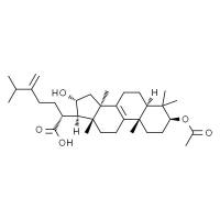 茯苓酸,分析标准品,HPLC≥98%
