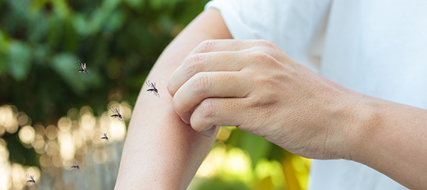 【推荐】用尿液样本也可以对热带虫媒传播疾病进行灵敏的分子诊断