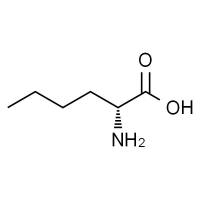D-正亮氨酸，98%(HPLC)