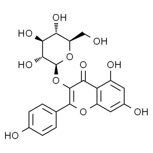 紫云英苷,分析标准品,HPLC≥98%