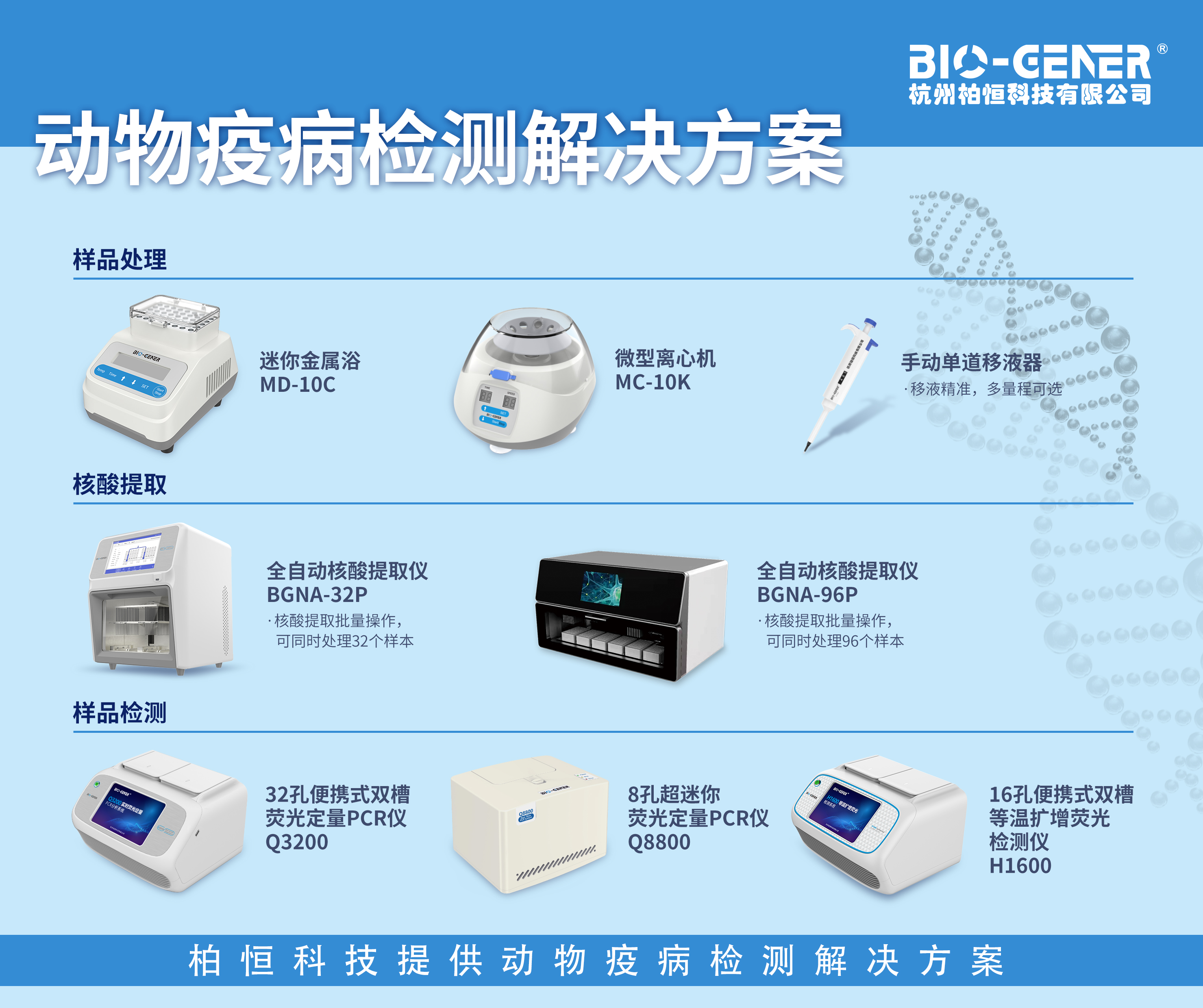 快速塞内卡谷病毒（SVV）检测 | 特定引物和探针在有助于 RPA 检测成为快速诊断 SVV 的有效工具