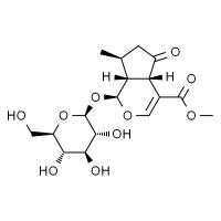 山茱萸苷,分析标准品,HPLC≥98%