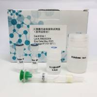大体积样本外泌体提取试剂盒