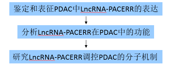 在胰管腺癌中,LncRNA-PACERR通过与miR-671-3p和m6A-reader IGF2BP2相互作用诱导肿瘤前巨噬细胞