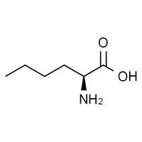 L-正白氨酸，98%（HPLC)