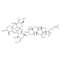 三七皂苷Ft1 HPLC≥98%