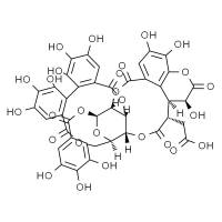 诃子鞣酸,分析标准品,HPLC≥95%