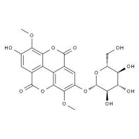 3 3 -二甲基鞣花酸-4 -O-葡萄糖苷 HPLC≥98%