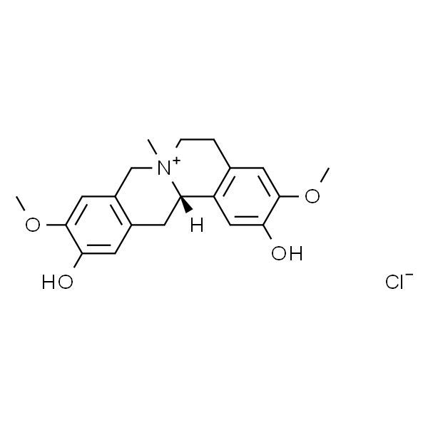 盐酸黄柏碱,分析标准品,HPLC≥98%